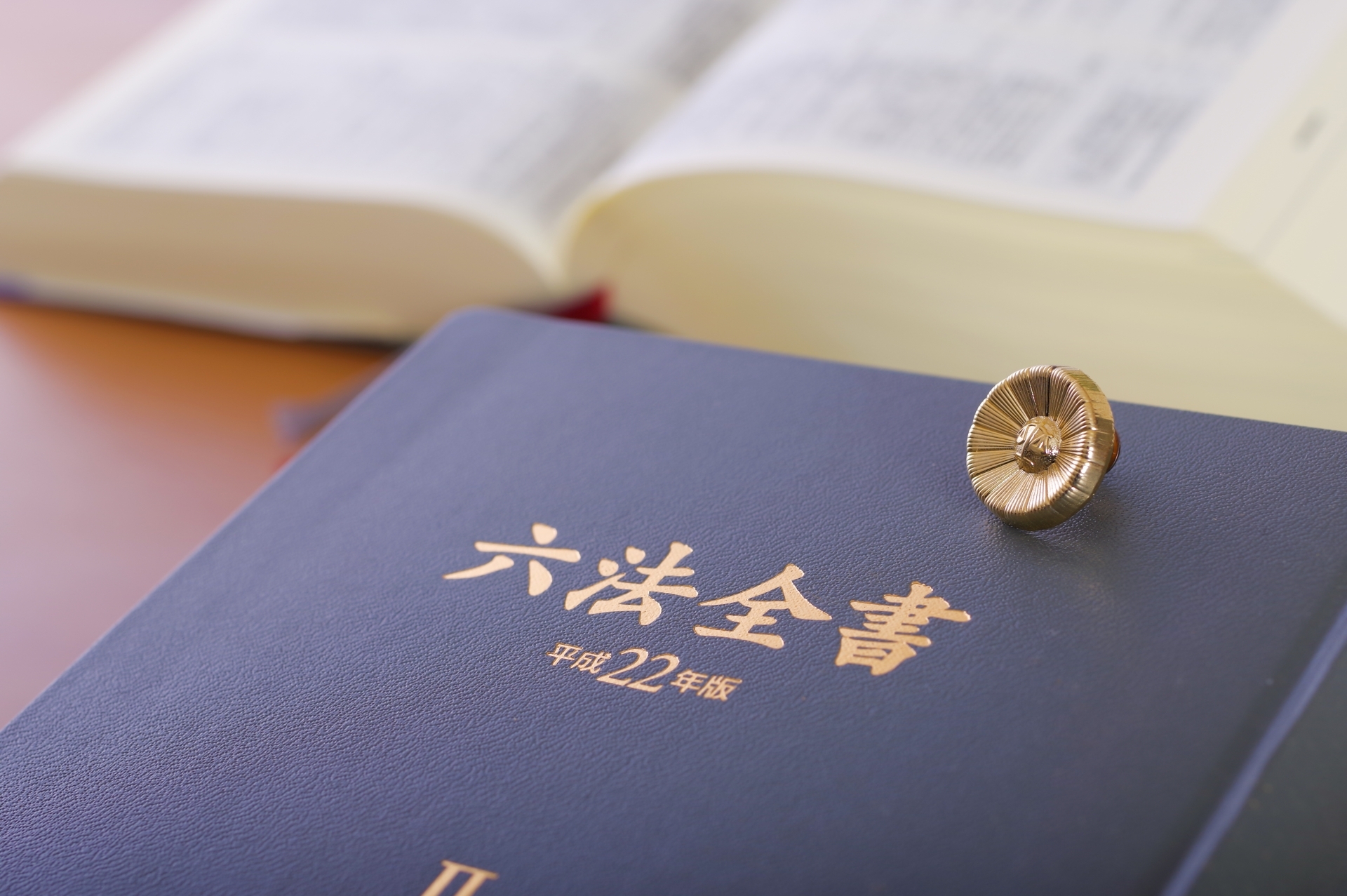 神奈川県の石橋法律事務所│債務整理・相続のお悩みはおまかせの写真(神奈川県相模原市南区)